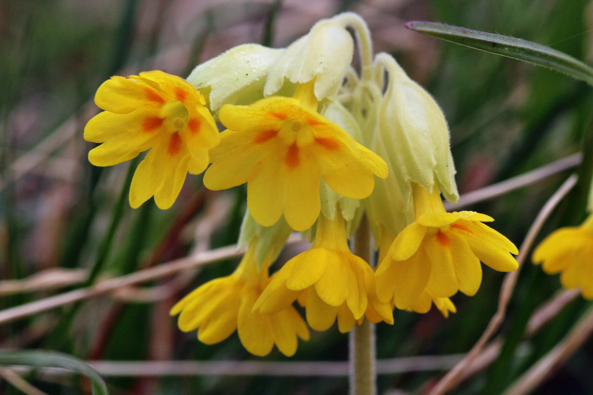 2014_04_01_00039432p_Bildgr��e �ndern