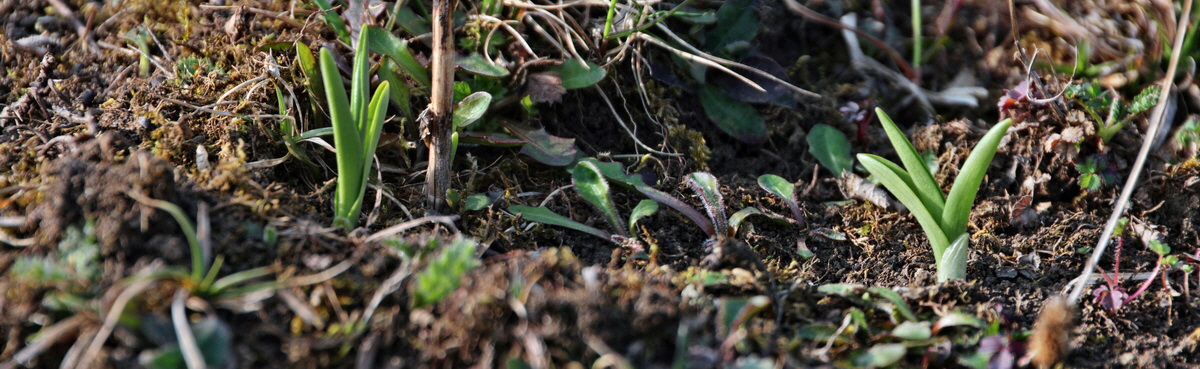 [Group 12]-2014_04_02_00039461_2014_04_02_00039464-2 imagesp_Bildgr��e �ndern