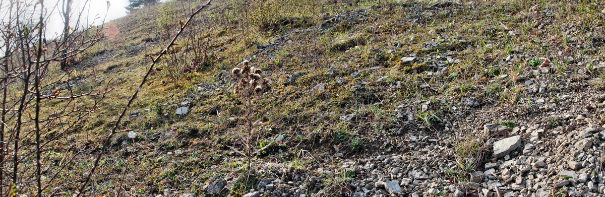 [Group 5]-2014_04_02_00039485_2014_04_02_00039489-2 imagesp_Bildgr��e �ndern