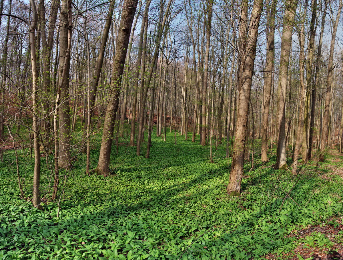 [Group 7]-2014_04_02_00039520_2014_04_02_00039531-12 imagesp_Bildgr��e �ndern