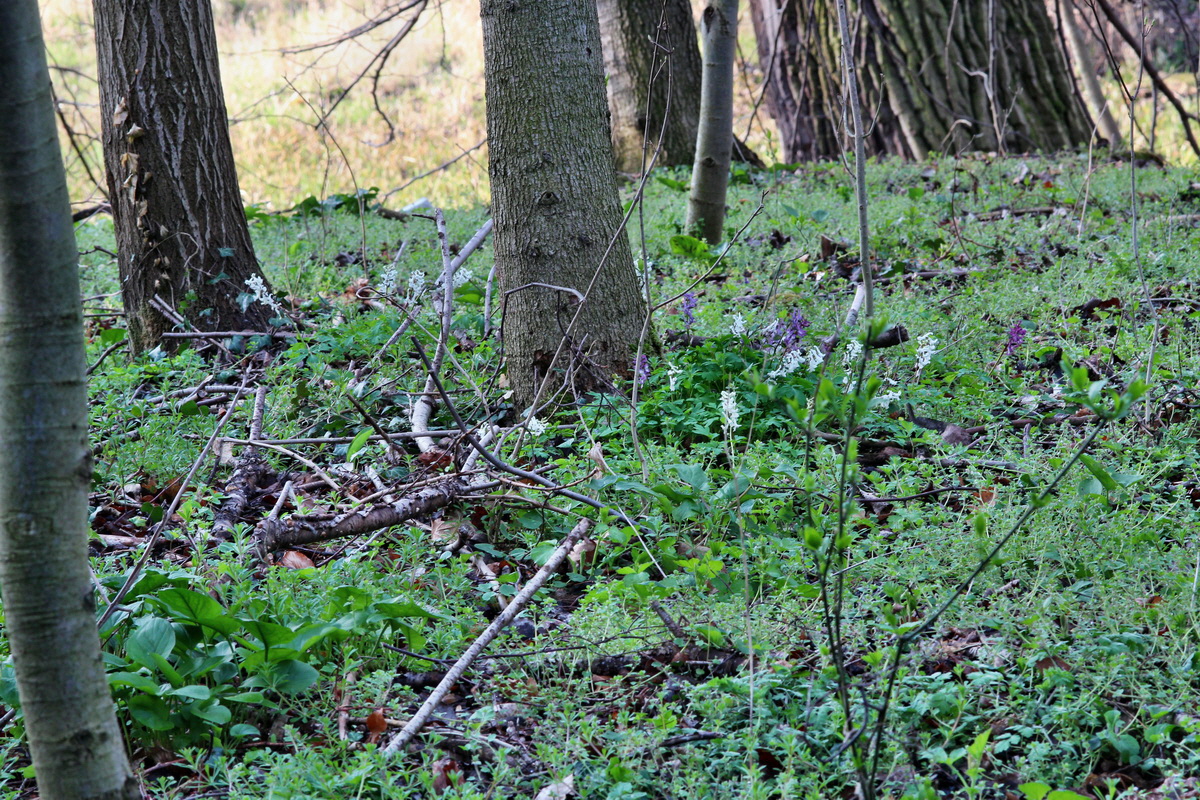 2014_04_02_00039444p_Bildgr��e �ndern