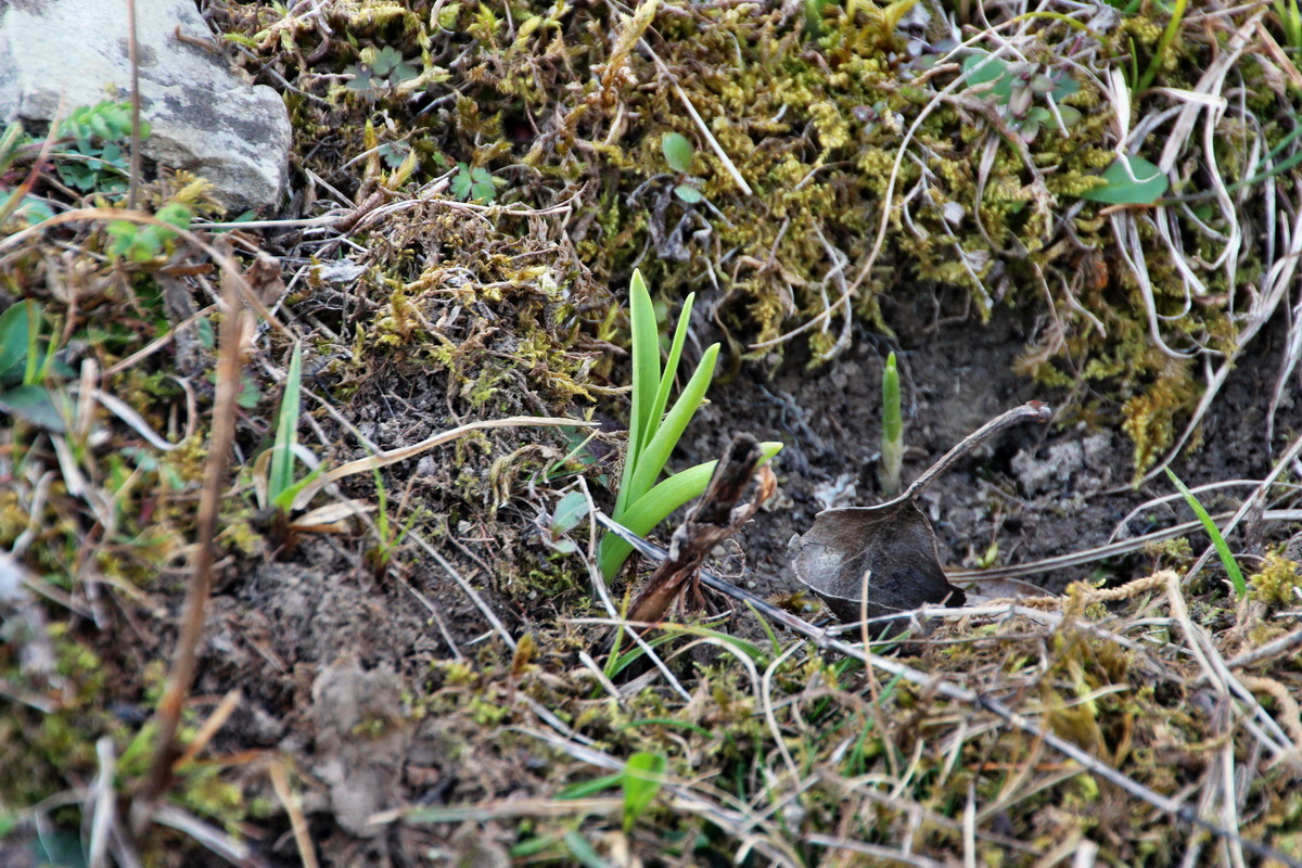 2014_04_02_00039449p_Bildgr��e �ndern