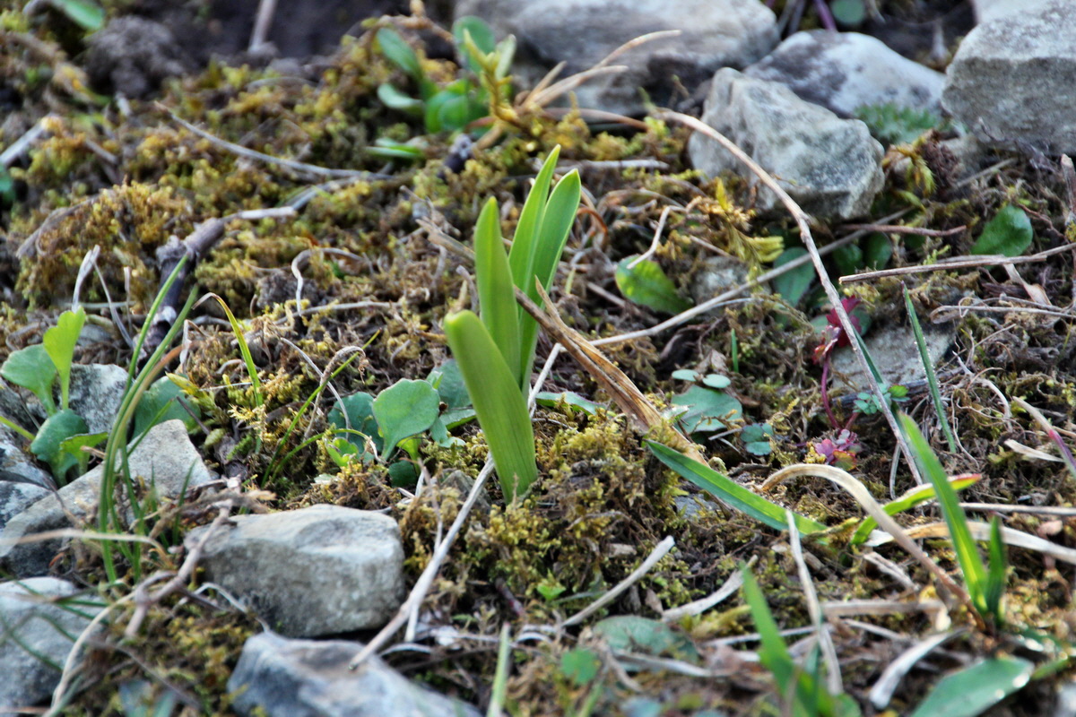 2014_04_02_00039456p_Bildgr��e �ndern