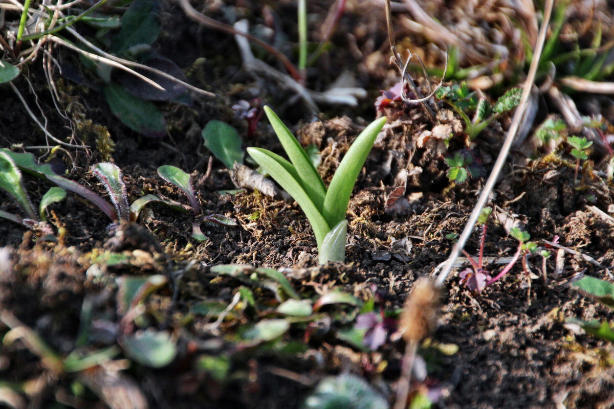 2014_04_02_00039462p_Bildgr��e �ndern