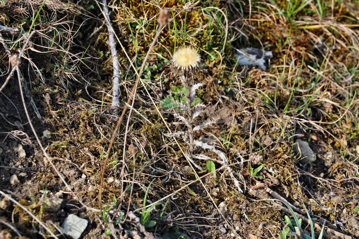 2014_04_02_00039467p_Bildgr��e �ndern