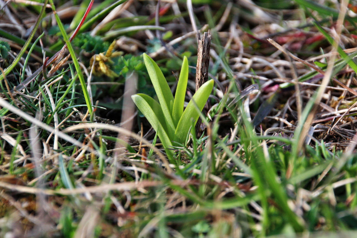 2014_04_02_00039468p_Bildgr��e �ndern