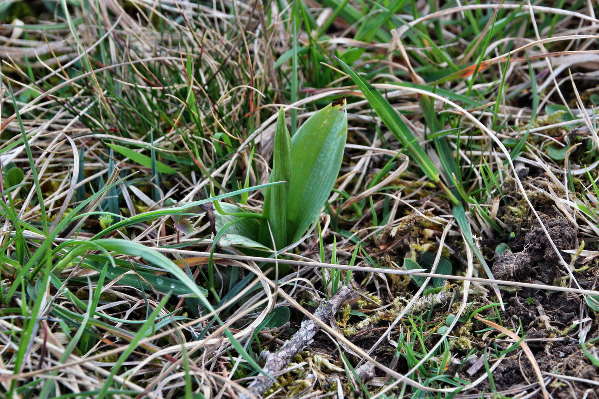 2014_04_02_00039471p_Bildgr��e �ndern