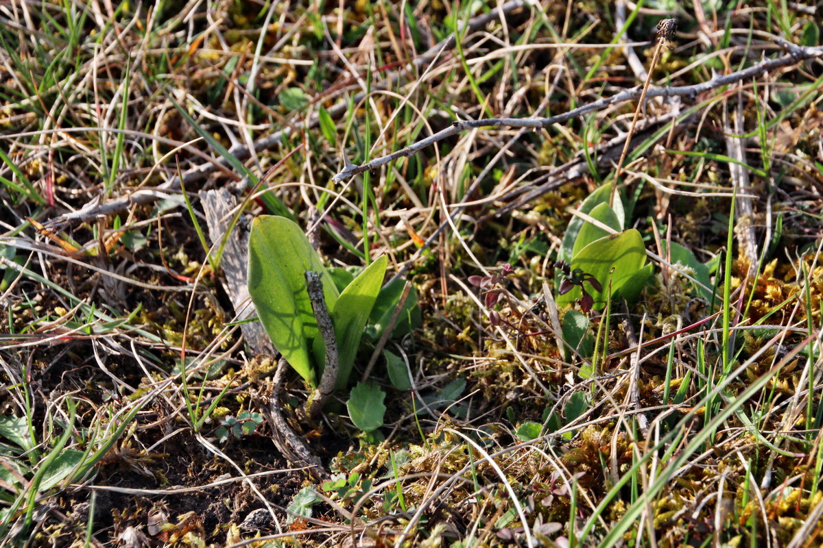 2014_04_02_00039477p_Bildgr��e �ndern