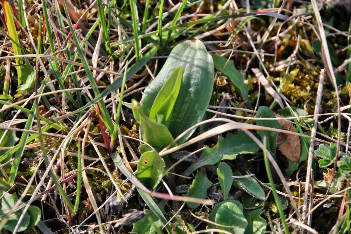 2014_04_02_00039479p_Bildgr��e �ndern