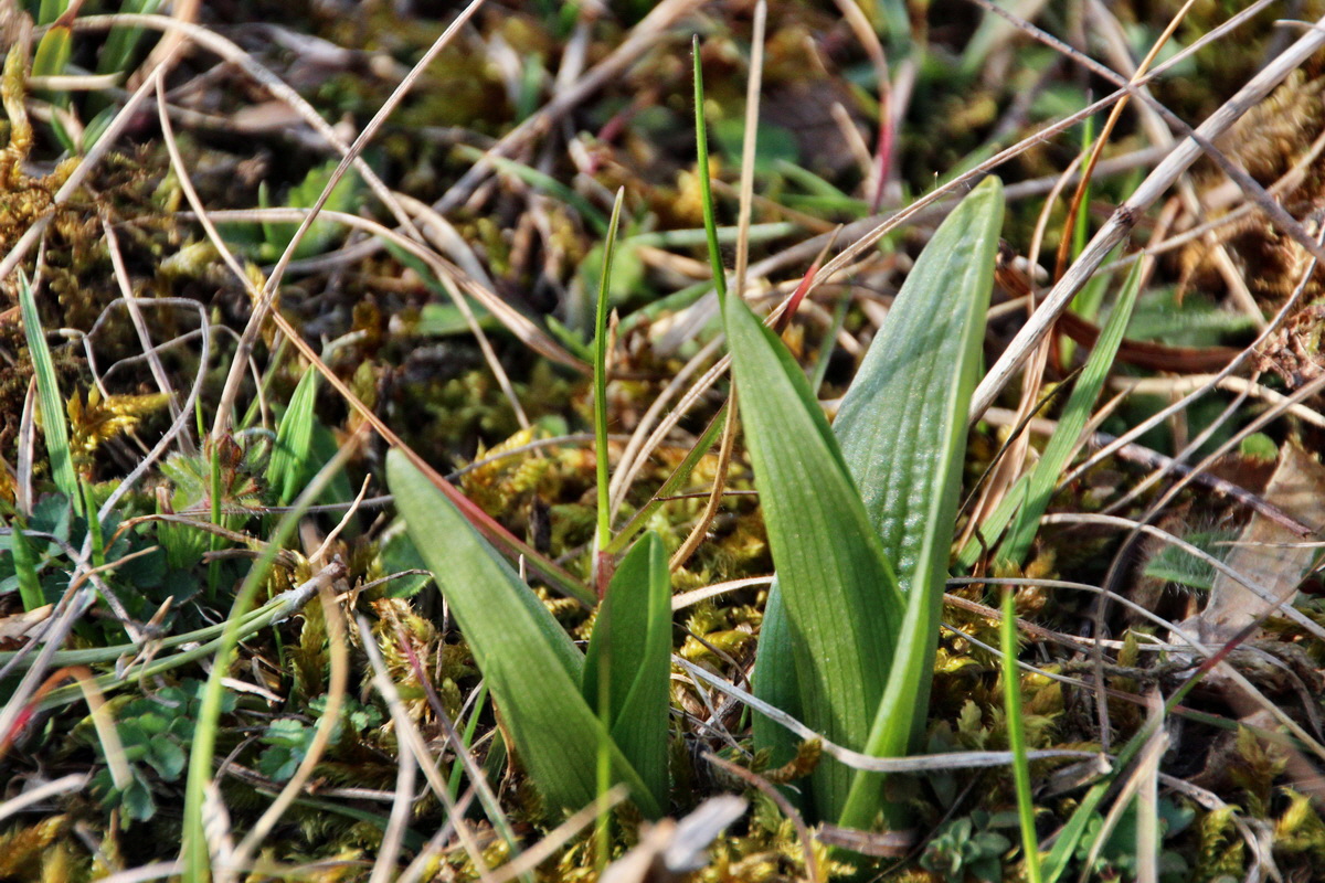 2014_04_02_00039483p_Bildgr��e �ndern