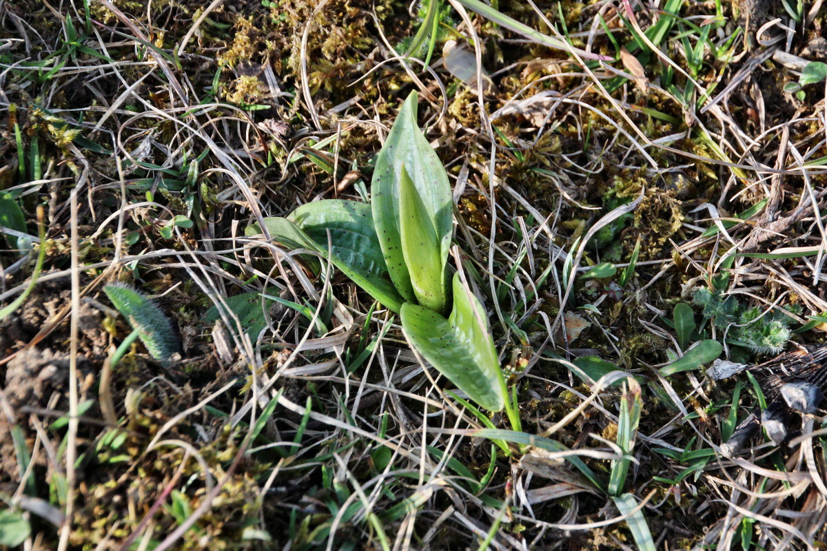 2014_04_02_00039491p_Bildgr��e �ndern