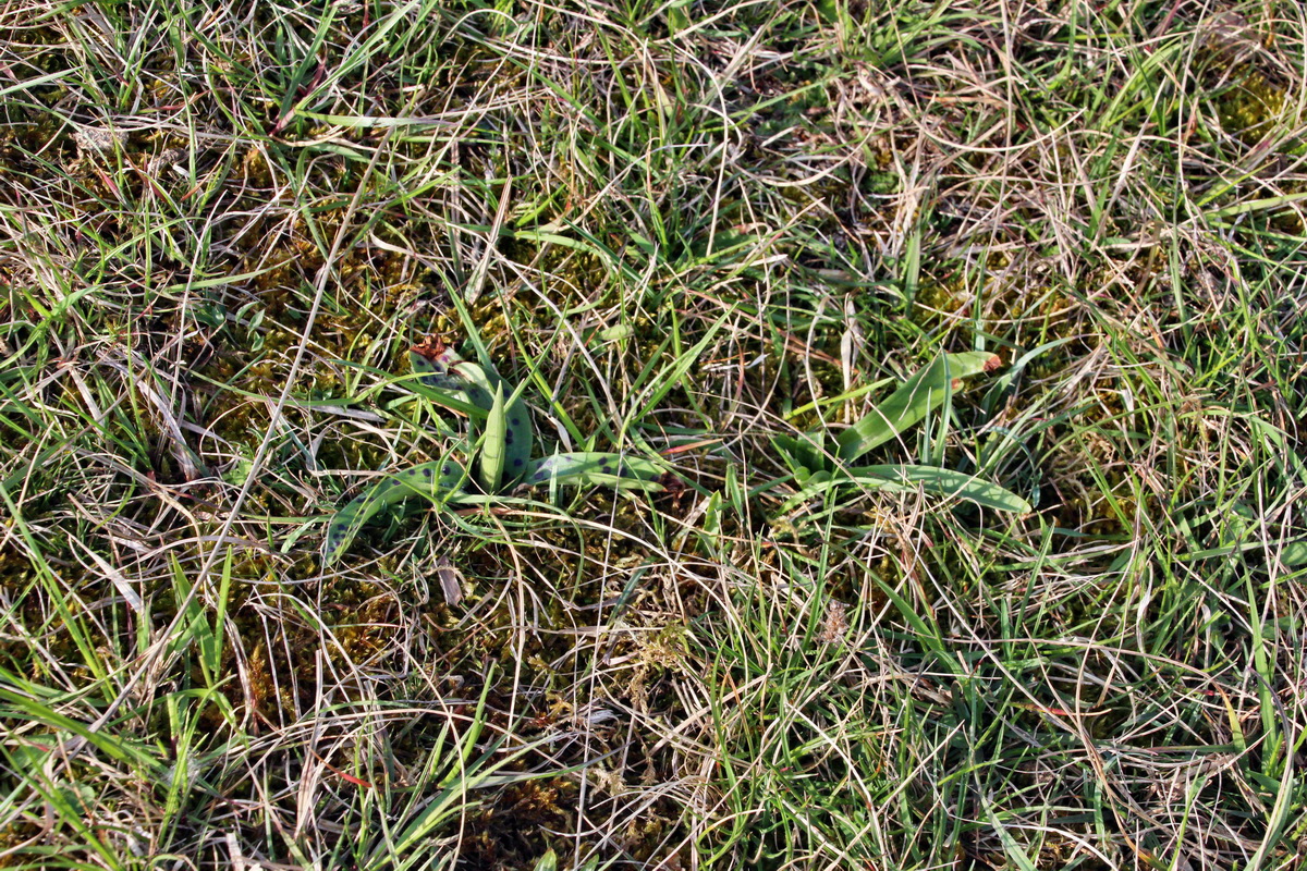 2014_04_02_00039495p_Bildgr��e �ndern