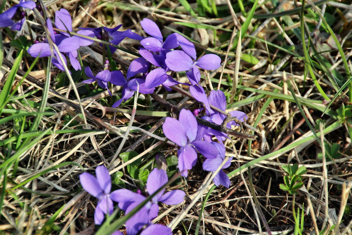 2014_04_02_00039498p_Bildgr��e �ndern