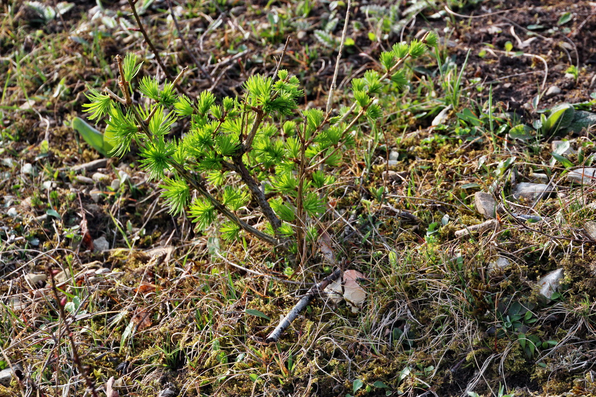 2014_04_02_00039501p_Bildgr��e �ndern