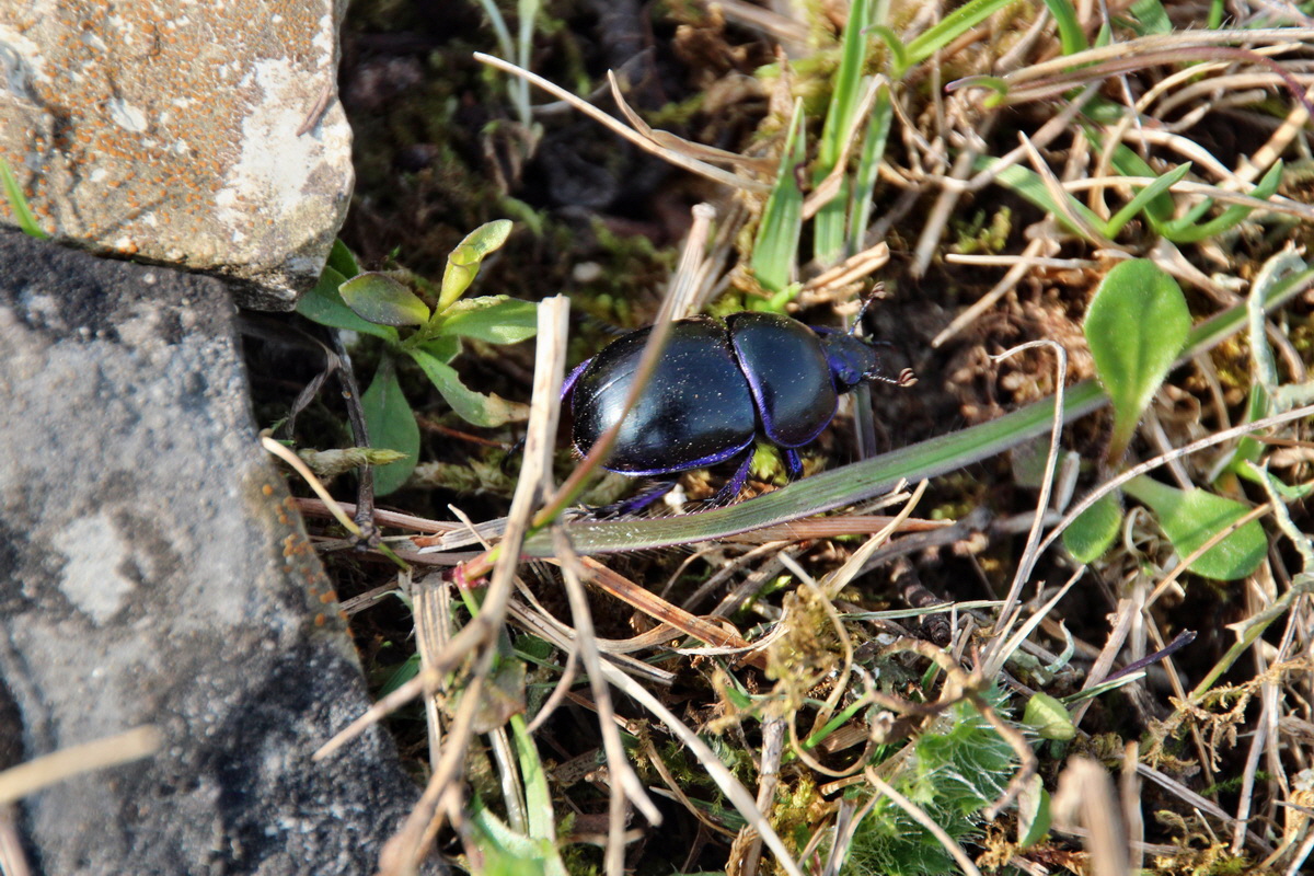 2014_04_02_00039504p_Bildgr��e �ndern