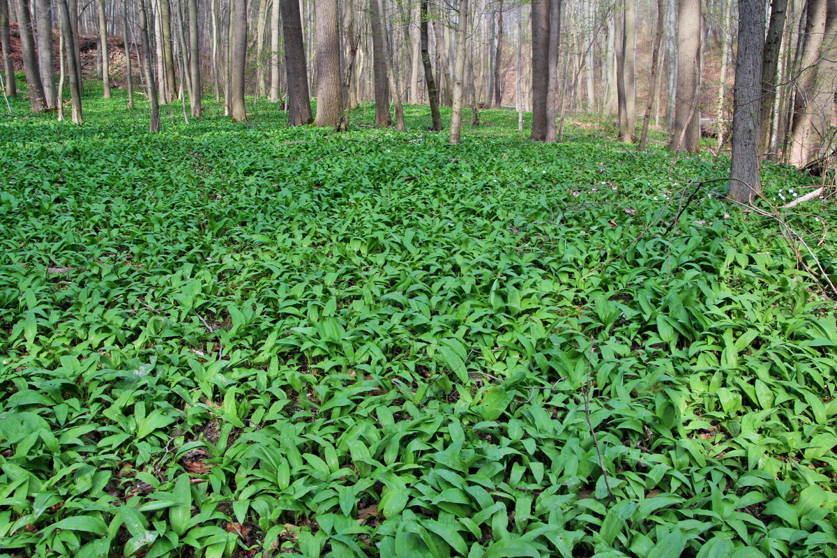 2014_04_02_00039539p_Bildgr��e �ndern