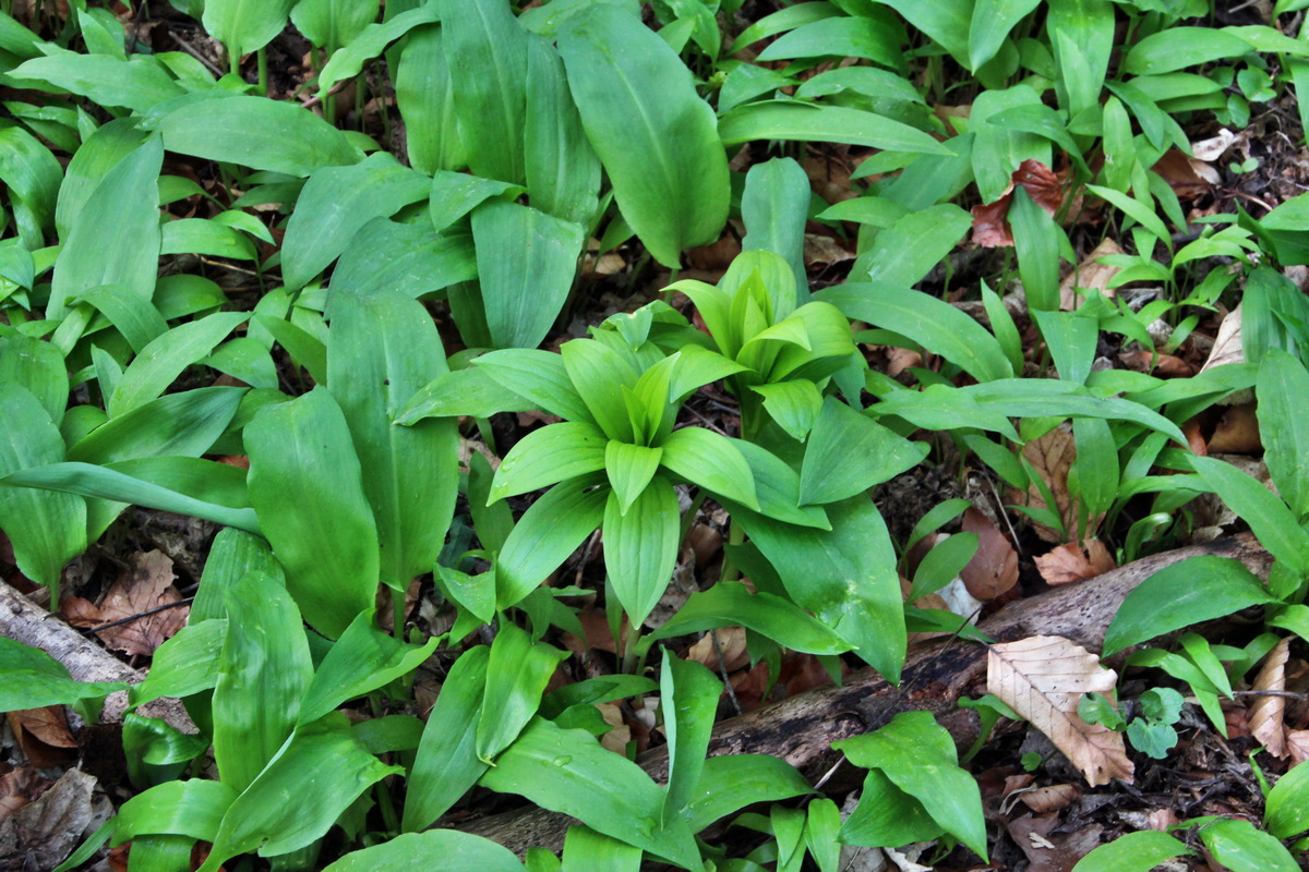 2014_04_02_00039544p_Bildgr��e �ndern