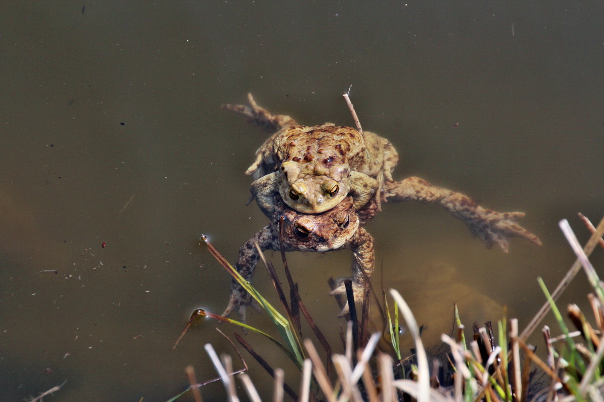 2014_04_02_00039551p_Bildgr��e �ndern