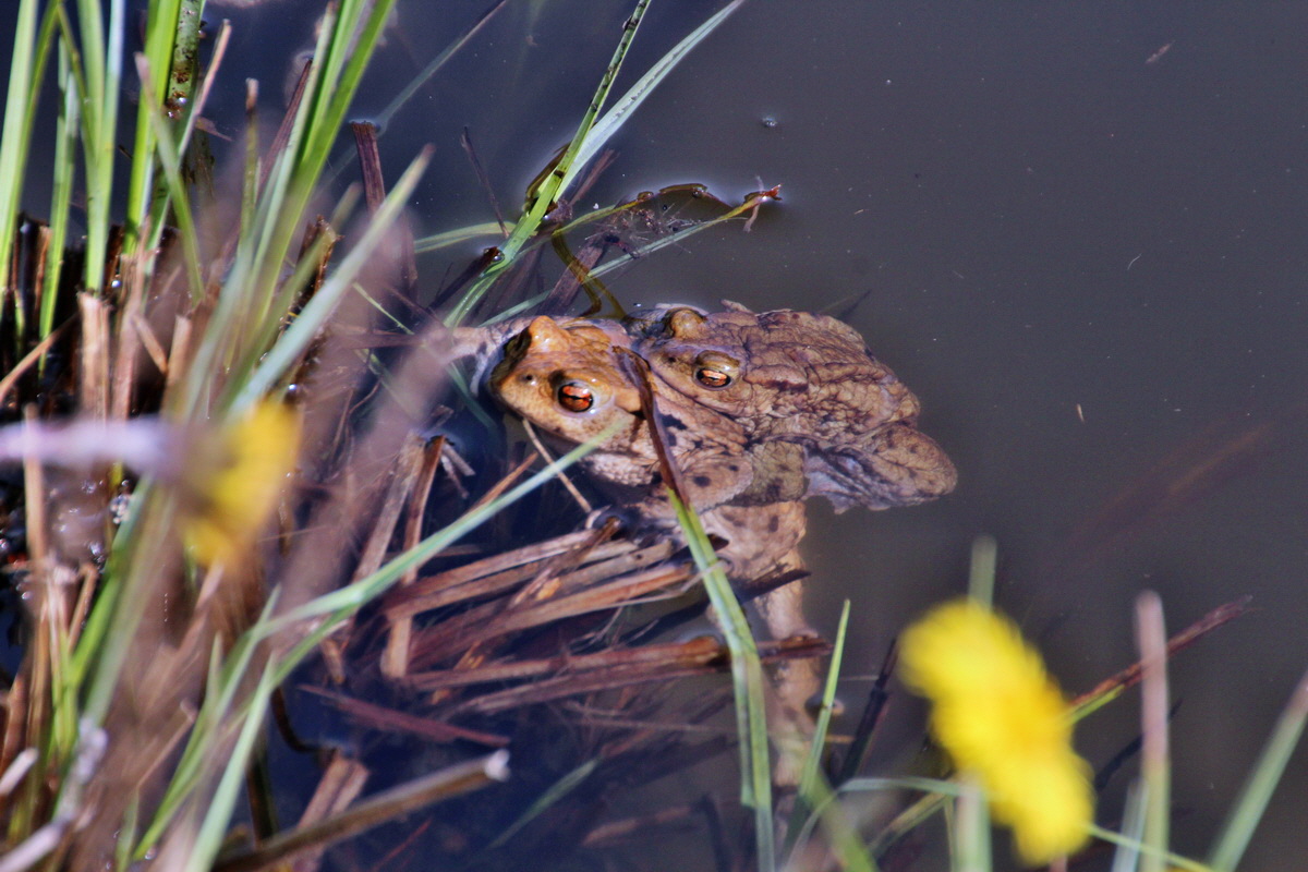 2014_04_02_00039563p_Bildgr��e �ndern