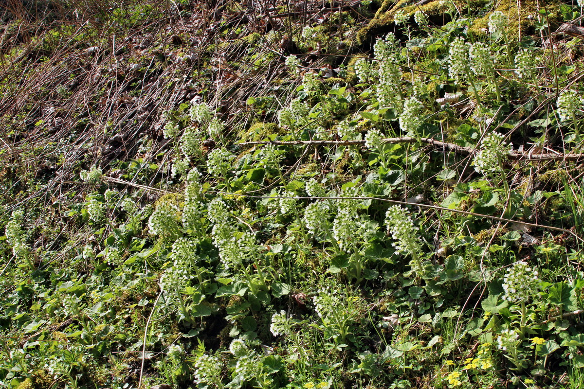 2014_04_02_00039580p_Bildgr��e �ndern