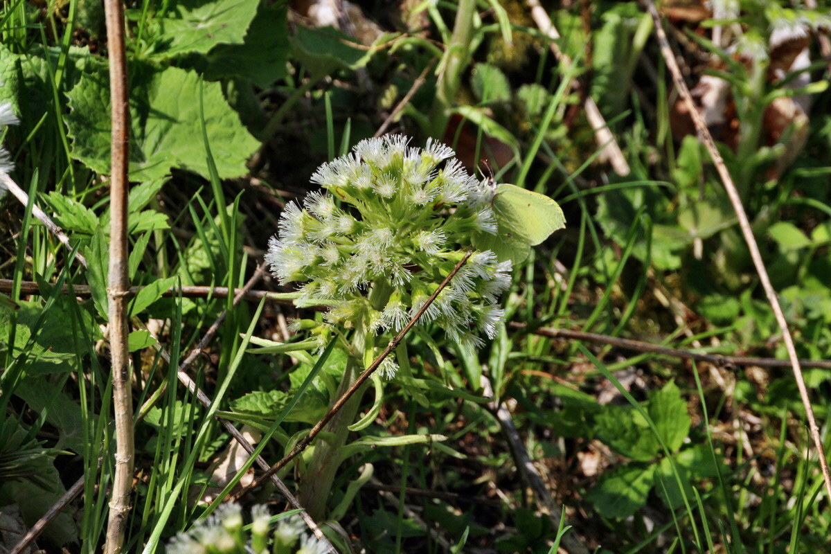 2014_04_02_00039584p_Bildgr��e �ndern