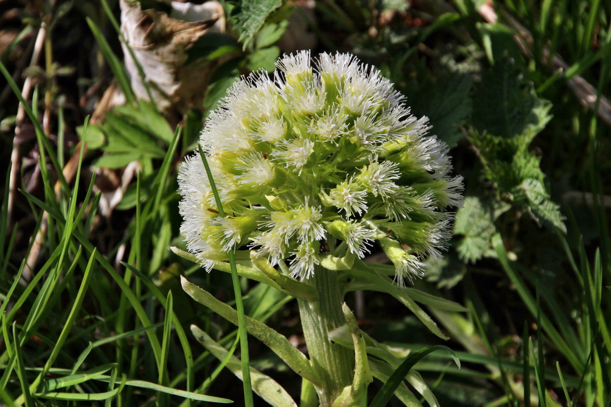 2014_04_02_00039593p_Bildgr��e �ndern