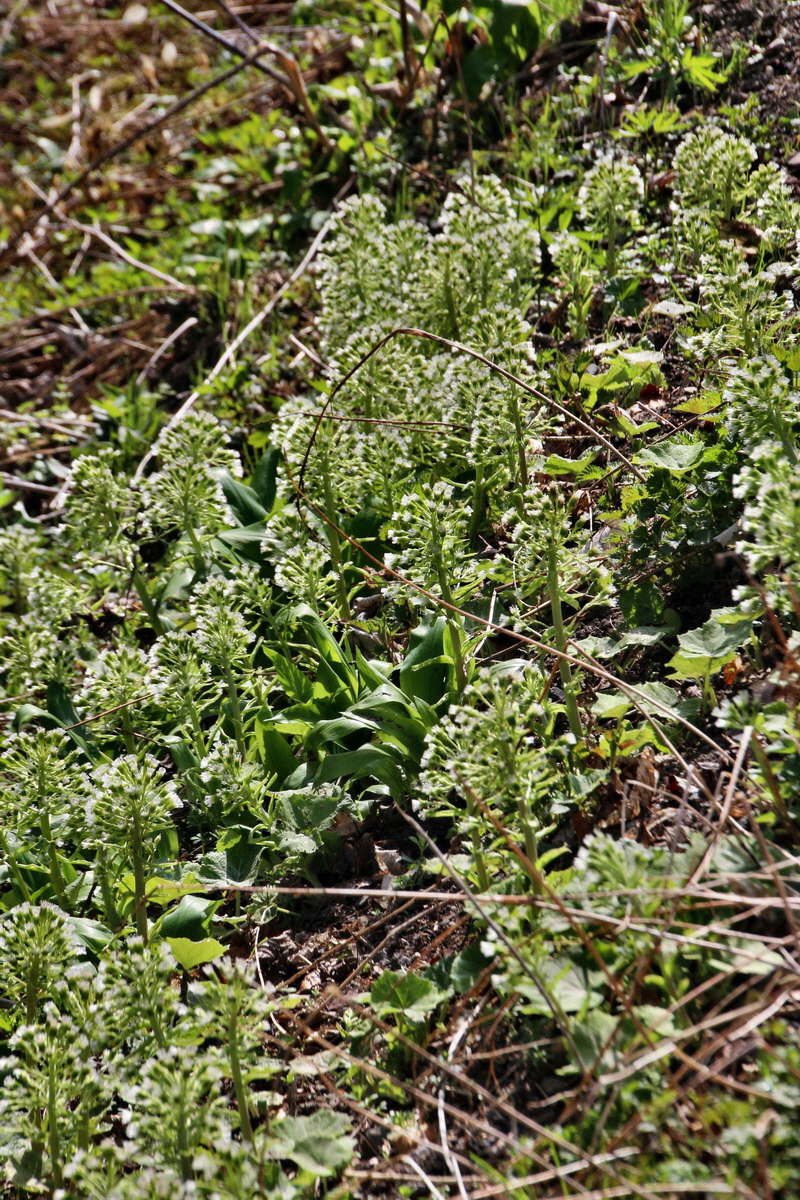 2014_04_02_00039608p_Bildgr��e �ndern