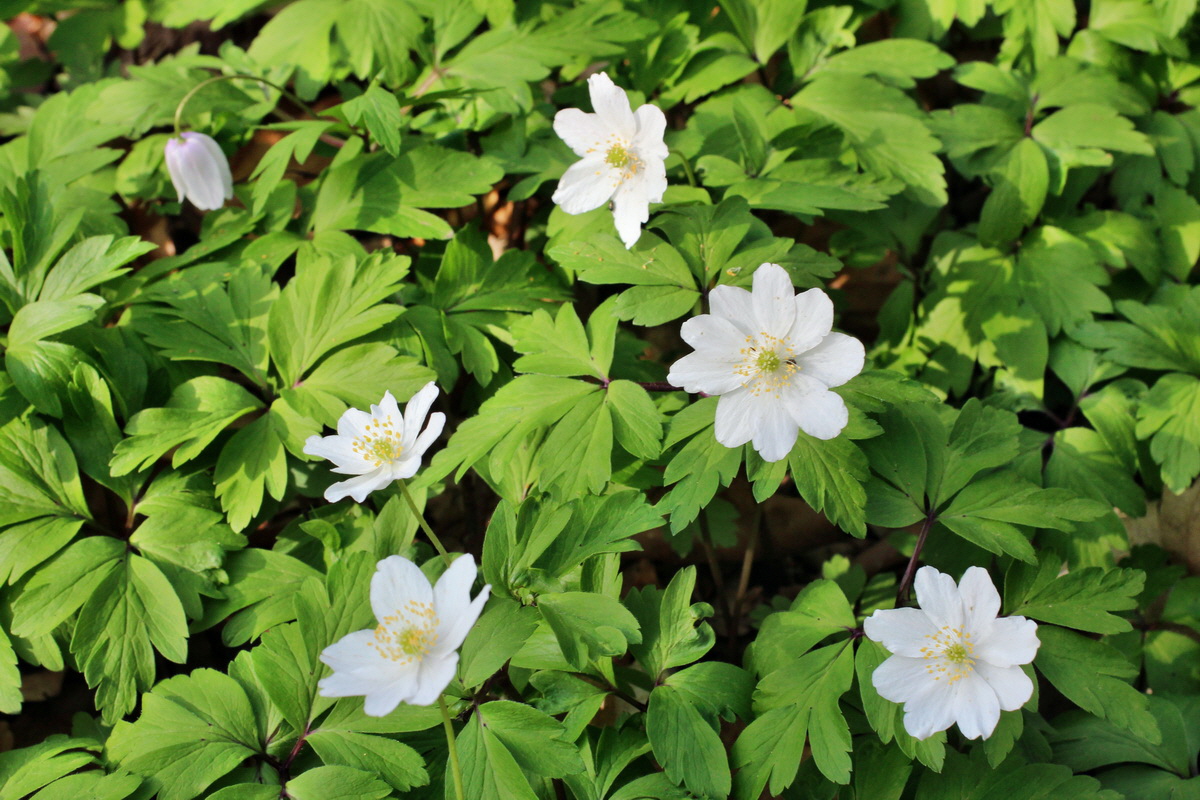 2014_04_06_00039620p_Bildgr��e �ndern