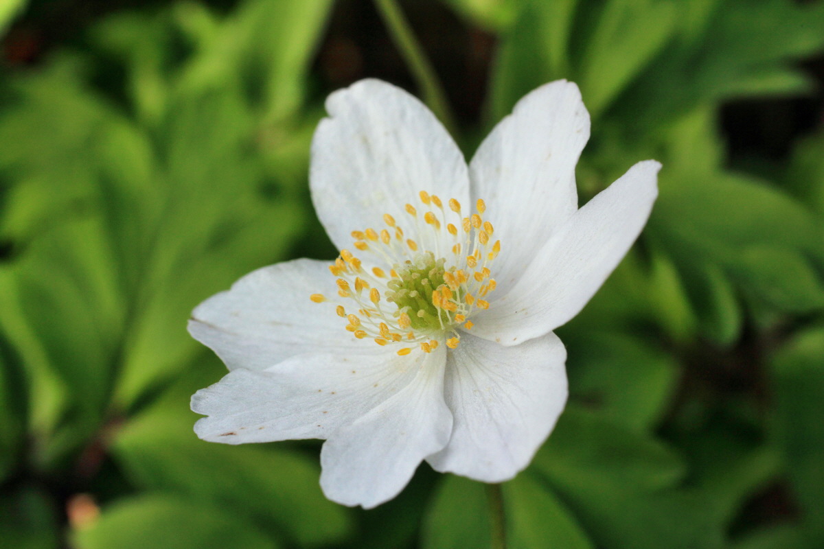 2014_04_06_00039621p_Bildgr��e �ndern