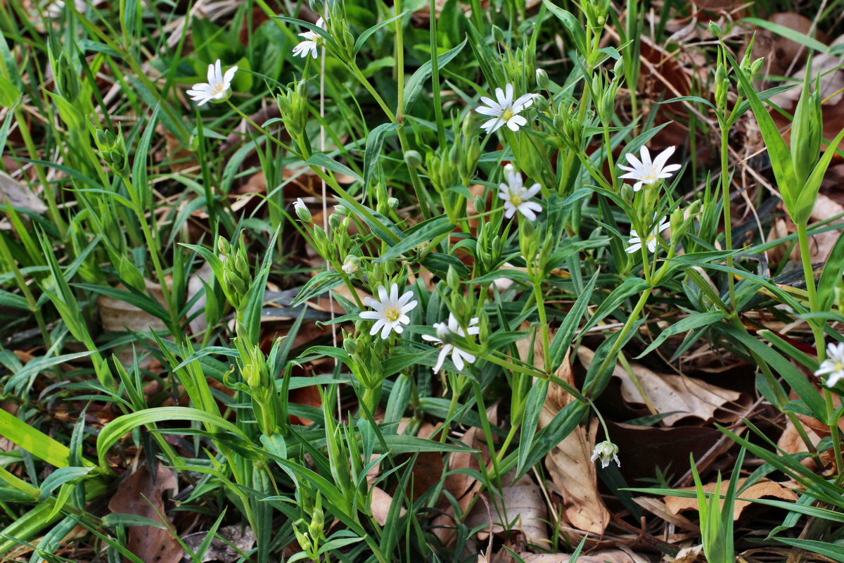 2014_04_06_00039624p_Bildgr��e �ndern