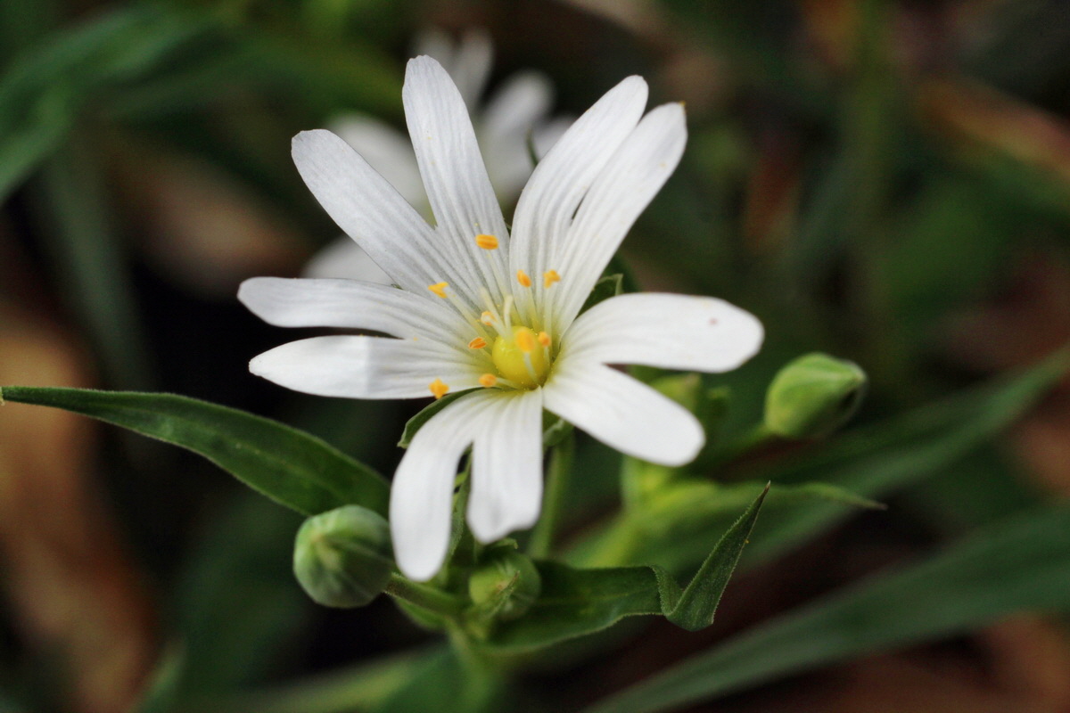 2014_04_06_00039627p_Bildgr��e �ndern