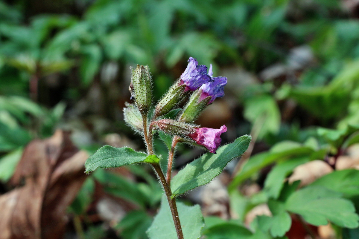 2014_04_06_00039642p_Bildgr��e �ndern