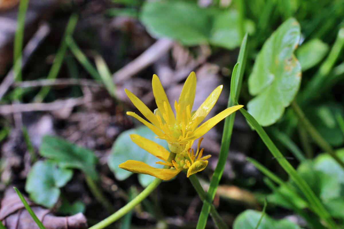 2014_04_06_00039644p_Bildgr��e �ndern