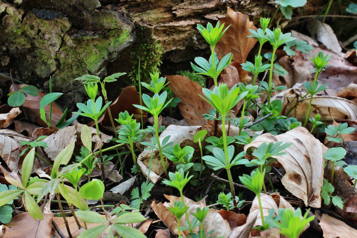 2014_04_06_00039647p_Bildgr��e �ndern