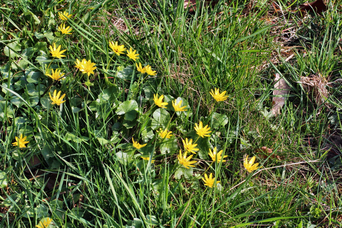 2014_04_06_00039660p_Bildgr��e �ndern