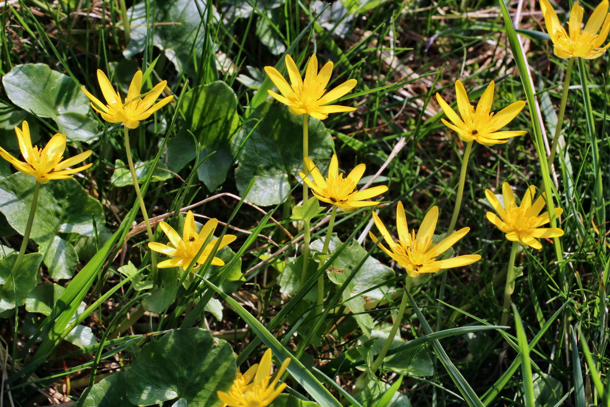 2014_04_06_00039662p_Bildgr��e �ndern