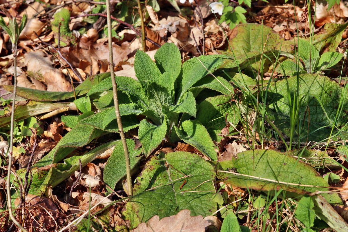 2014_04_06_00039667p_Bildgr��e �ndern