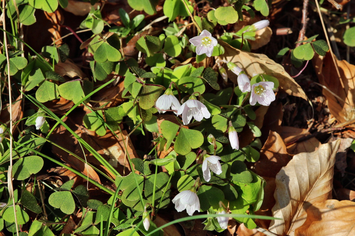 2014_04_06_00039672p_Bildgr��e �ndern