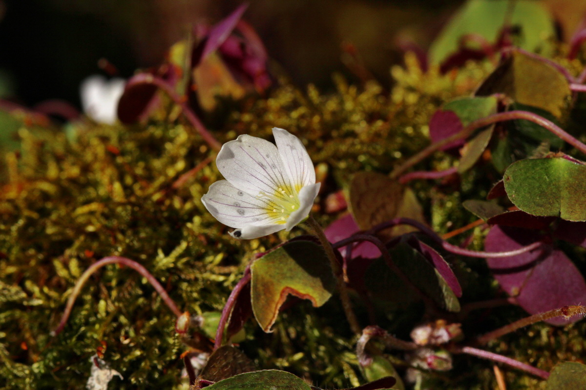 2014_04_06_00039684p_Bildgr��e �ndern