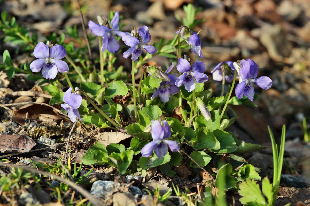 2014_04_06_00039698p_Bildgr��e �ndern