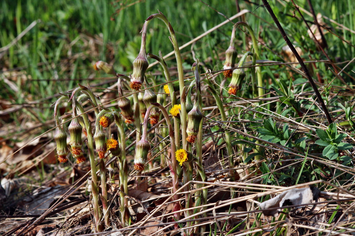 2014_04_06_00039703p_Bildgr��e �ndern