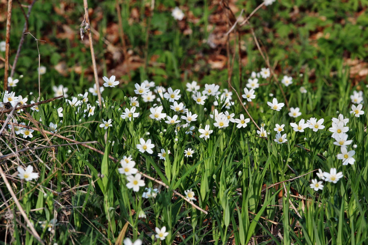 2014_04_06_00039706p_Bildgr��e �ndern