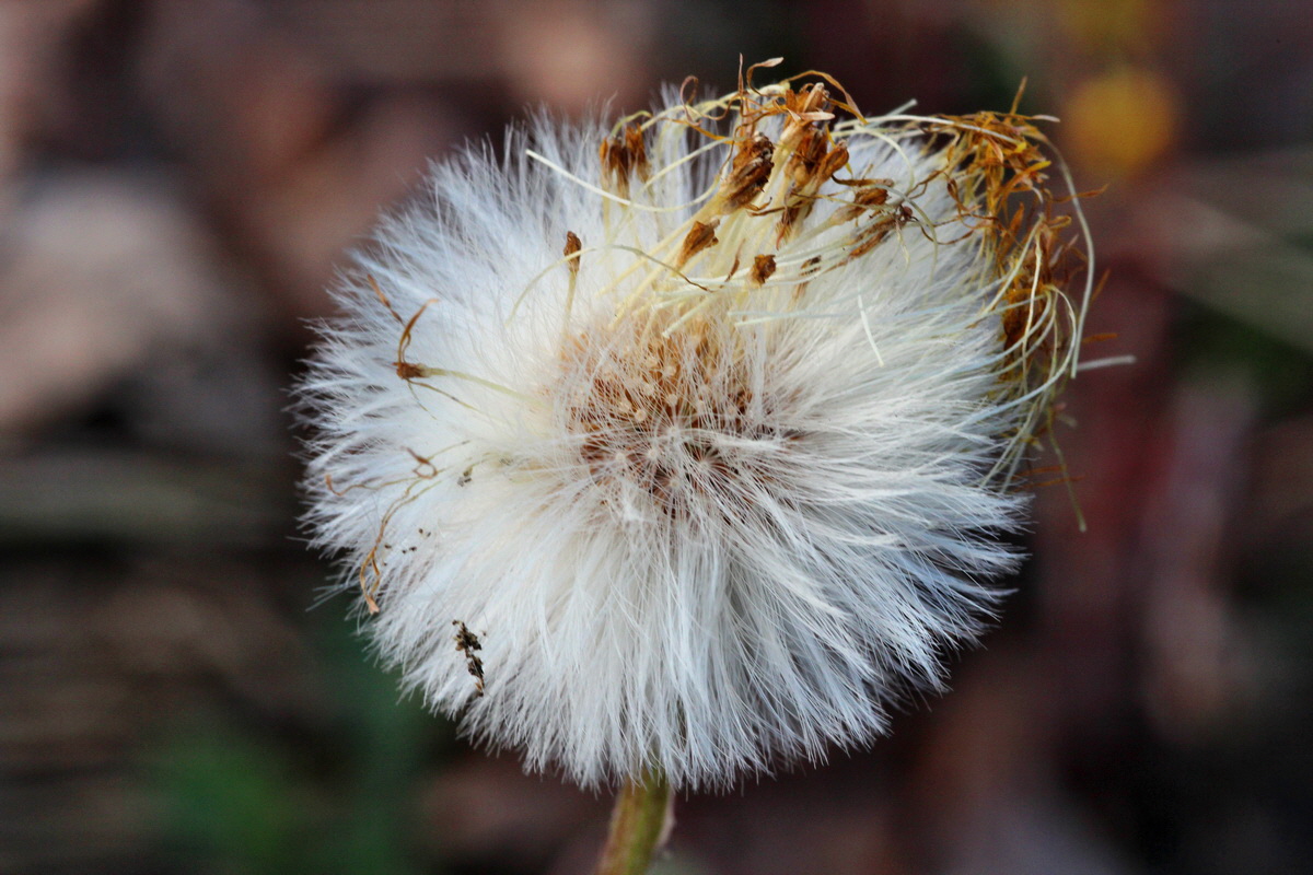 2014_04_06_00039707p_Bildgr��e �ndern