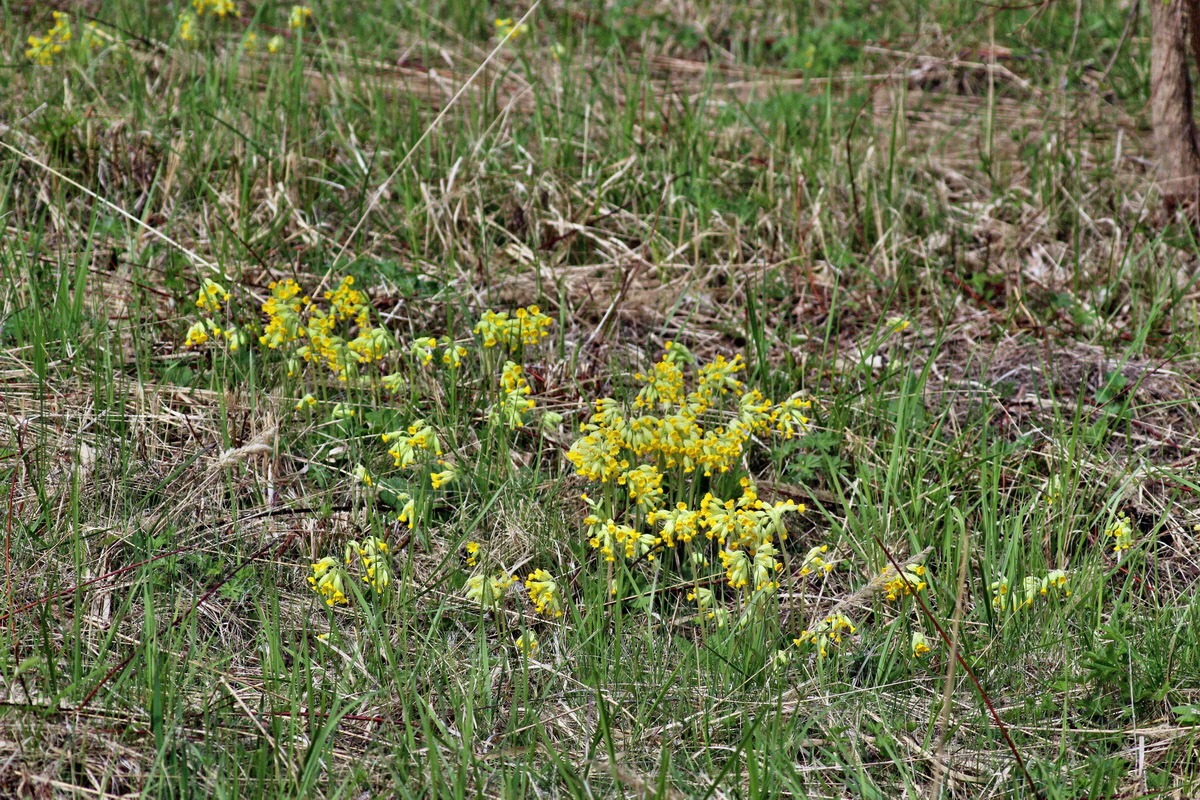 2014_04_07_00039756p_Bildgr��e �ndern