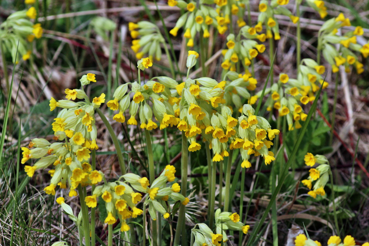 2014_04_07_00039758p_Bildgr��e �ndern