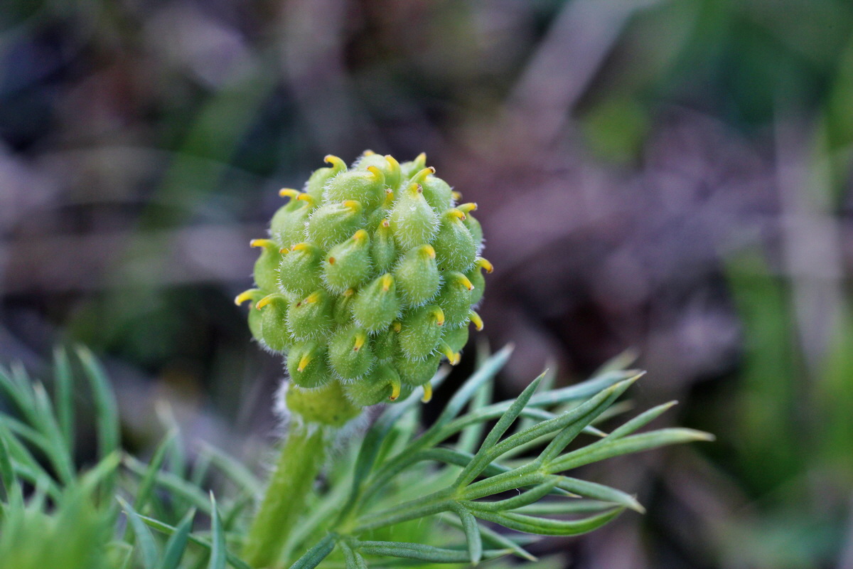 2014_04_08_00039770p_Bildgr��e �ndern