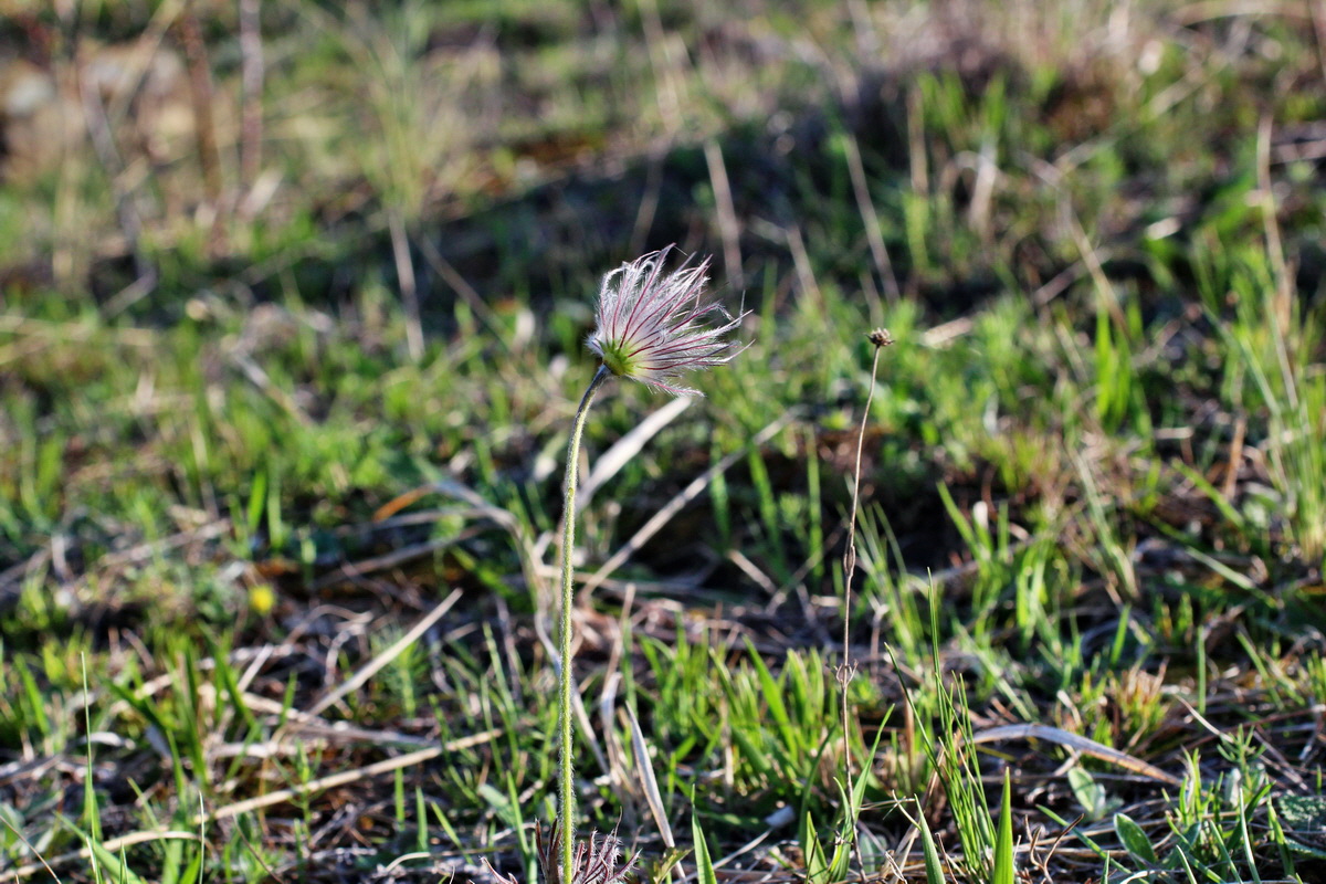 2014_04_08_00039775p_Bildgr��e �ndern