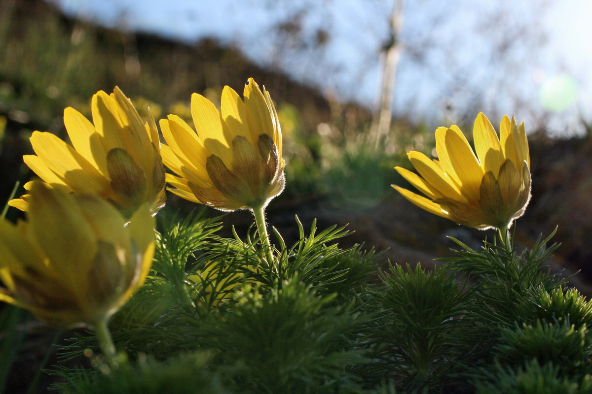 2014_04_08_00039783p_Bildgr��e �ndern