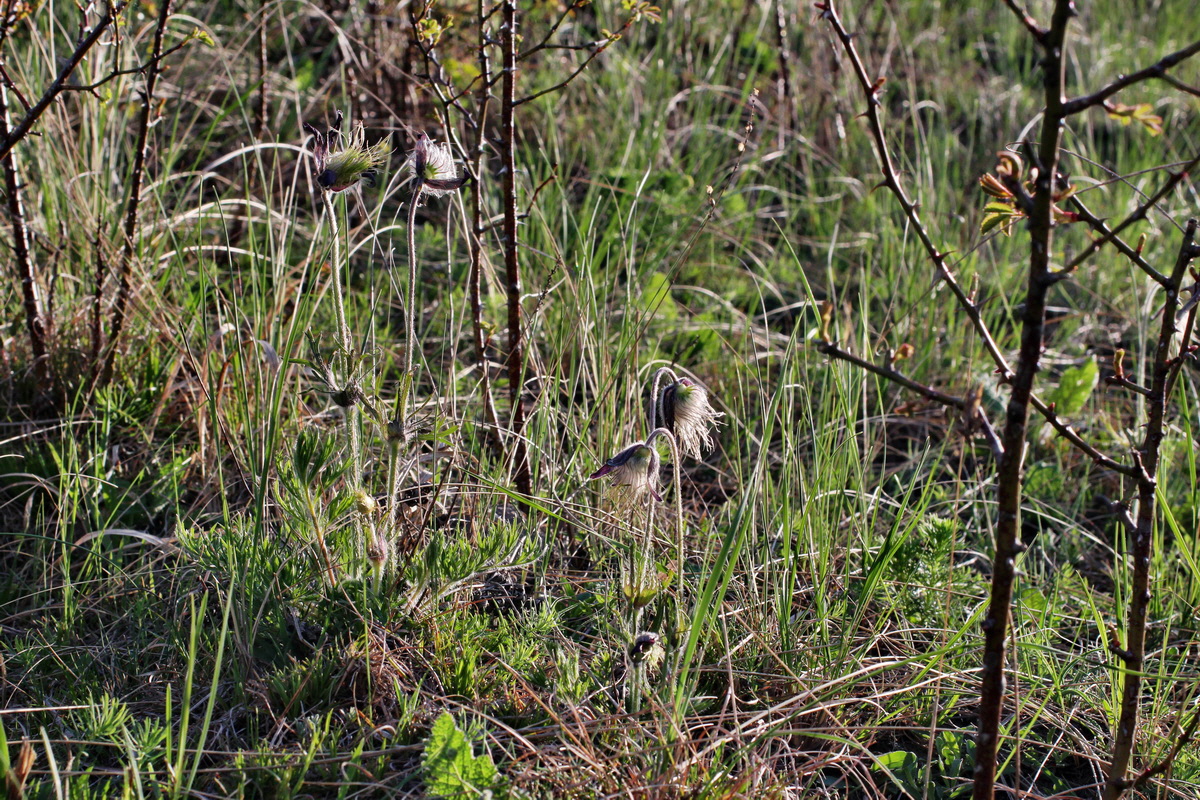 2014_04_08_00039791p_Bildgr��e �ndern