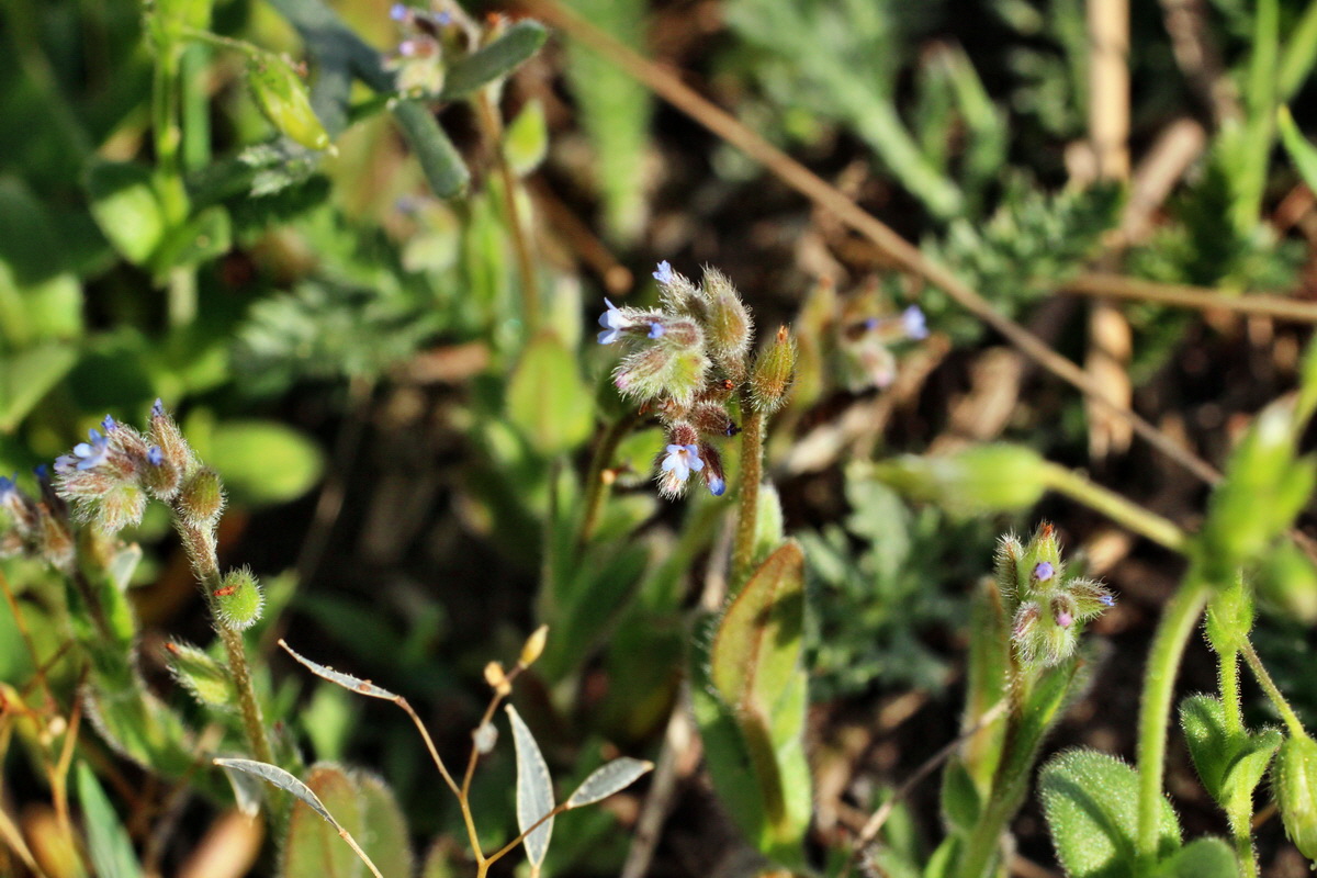 2014_04_08_00039819p_Bildgr��e �ndern